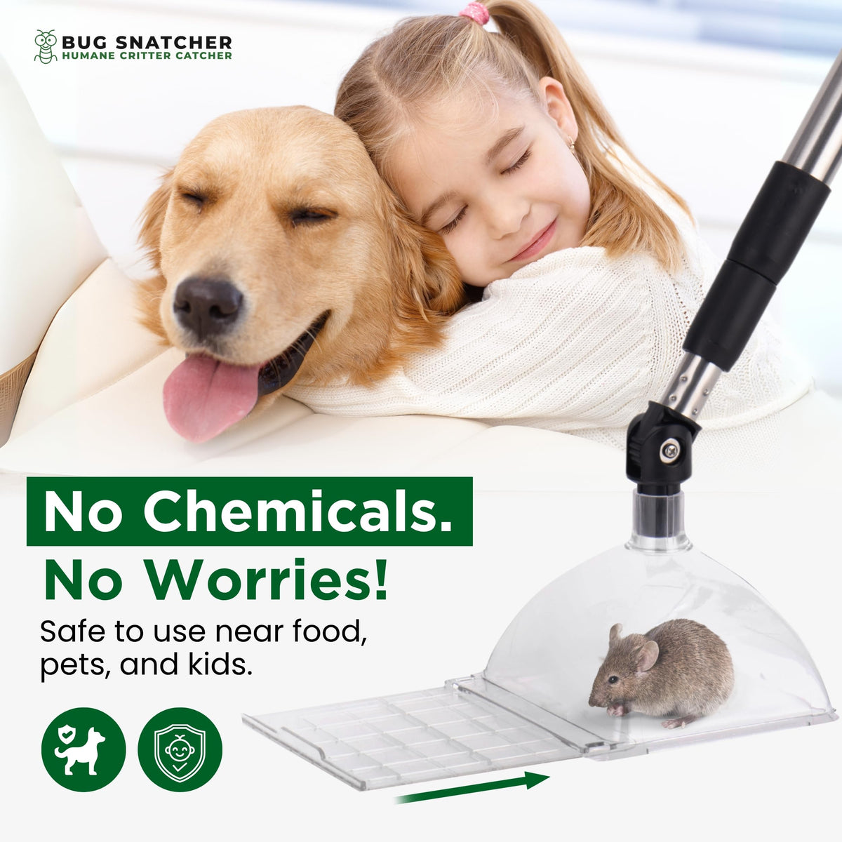Bug Snatcher educational tool for curious adults and students.