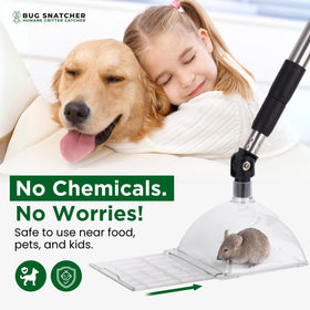 Bug Snatcher educational tool for curious adults and students.