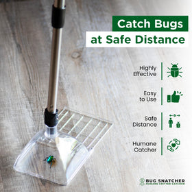 Bug Snatcher humane catch and release keeps insects without harm.