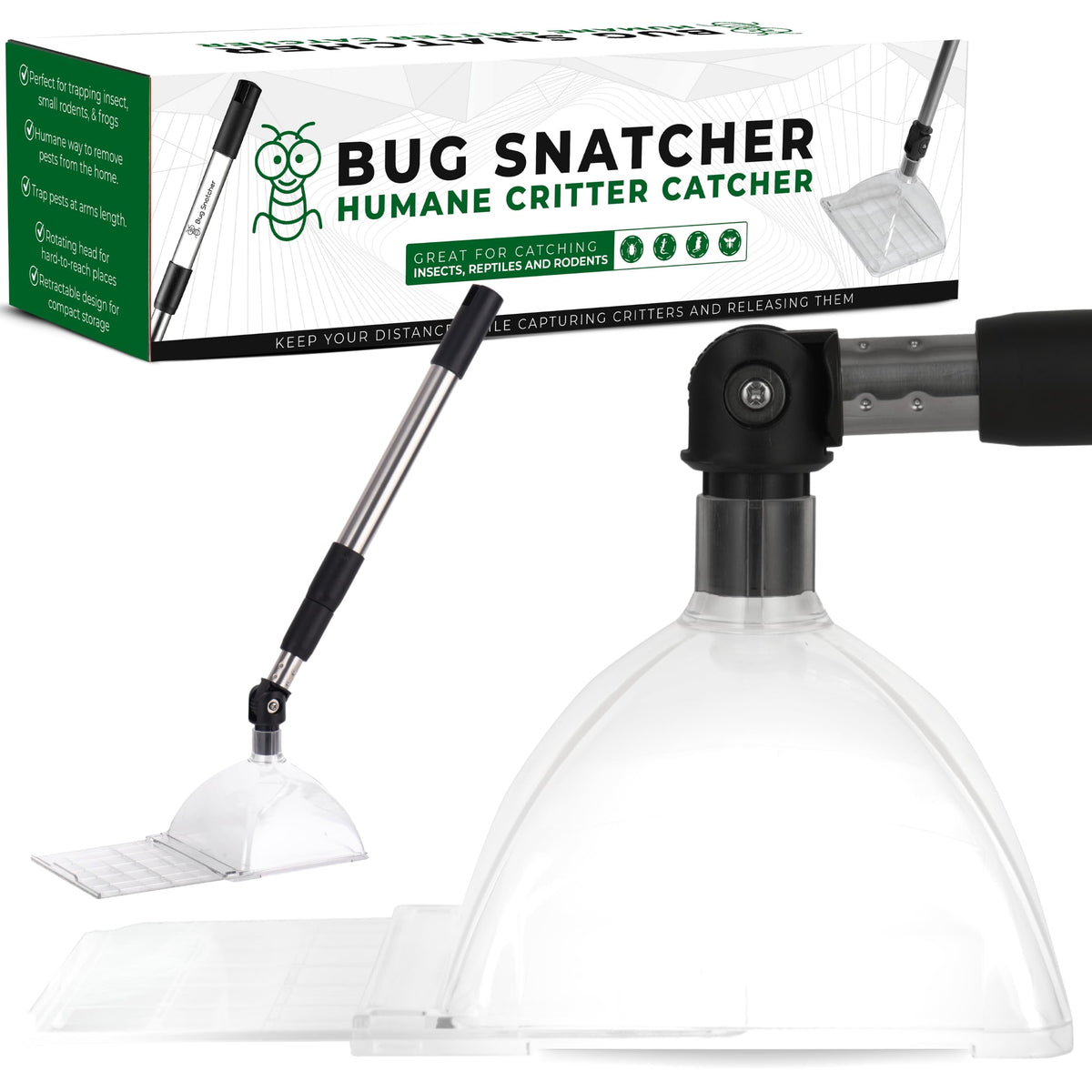 Bug Snatcher see-through container for clear live-insect viewing and safe relocation.
