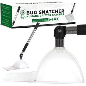 Bug Snatcher see-through container for clear live-insect viewing and safe relocation.