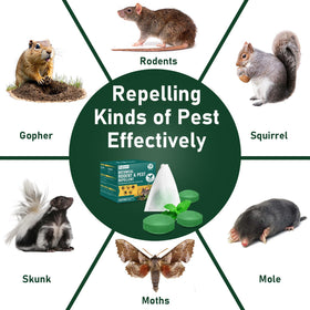 BUGAZOOM peppermint moth balls placed indoors in closet or attic