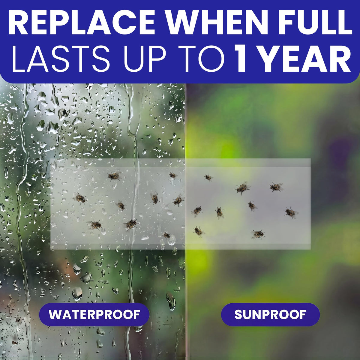 BugBane clear strips blend with home decor while trapping pests.