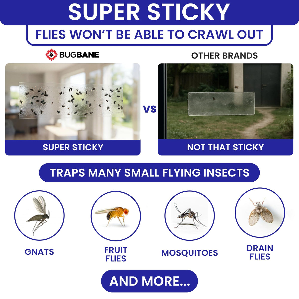 BugBane clear window fly traps indoors blend with decor while trapping flies quietly.