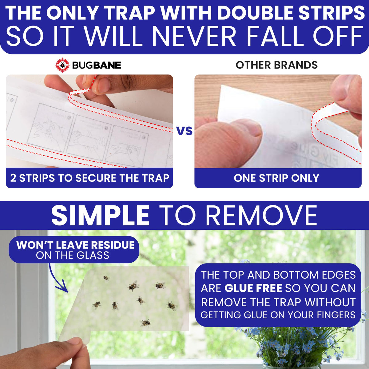 BugBane discrete transparent traps stay out of sight while catching common flies.