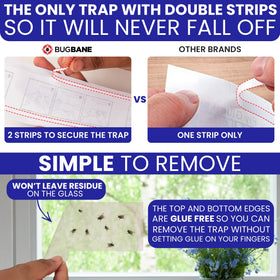 BugBane discrete transparent traps stay out of sight while catching common flies.