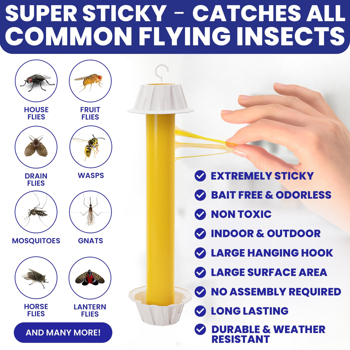 BugBane indoor-use fly sticky trap ready to hang