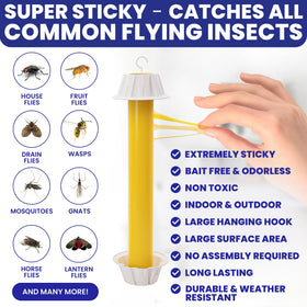 BugBane indoor-use fly sticky trap ready to hang