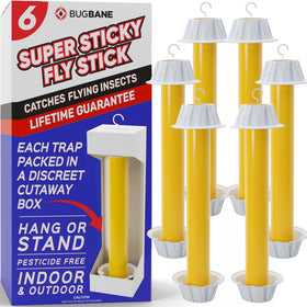 BugBane Fly Stick Trap in a packaged box for discreet placement and easy setup.