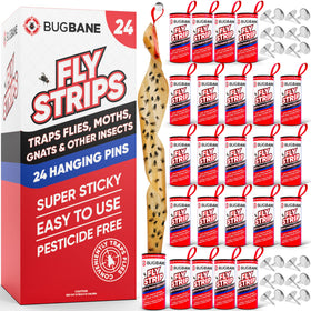 BugBane fly strips indoor 24-pack ready to hang in the kitchen.