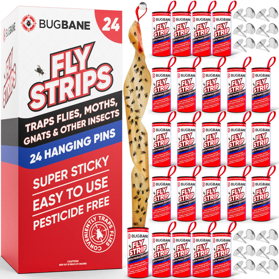 BugBane fly strips indoor 24-pack ready to hang in the kitchen.