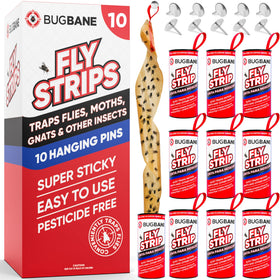 BugBane fly strips indoor hanging 10pk demonstrates quick, non-toxic fly control for homes.