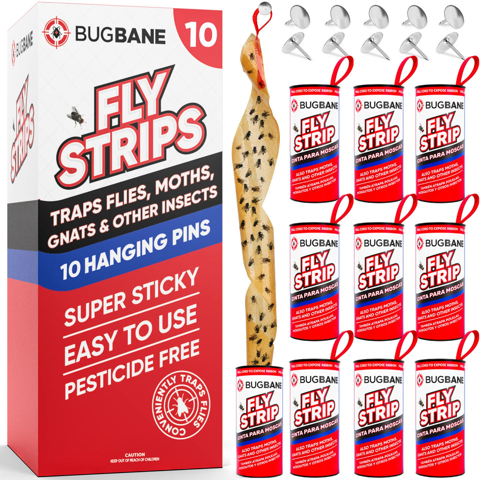BugBane fly strips indoor hanging 10pk demonstrates quick, non-toxic fly control for homes.