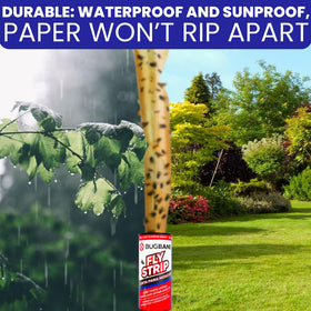 BugBane fly strips ideal for indoor kitchen, garage, and living spaces.