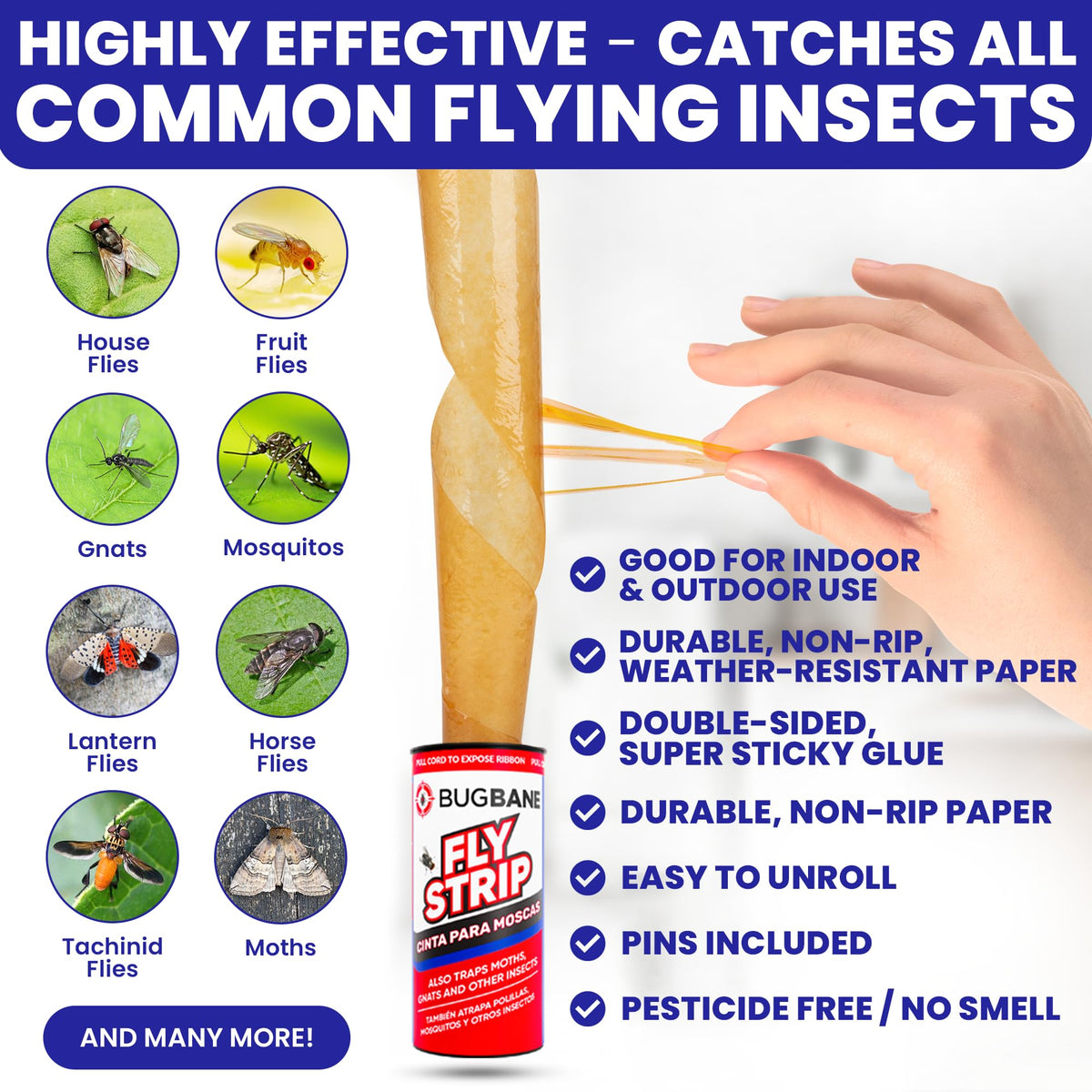 BugBane fly strips pins included enable effortless hanging for immediate use.