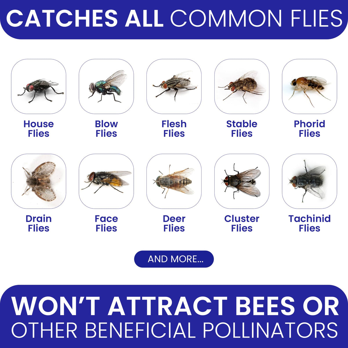 BugBane four-pack non-toxic bait bags ready for quick, disposable fly control.
