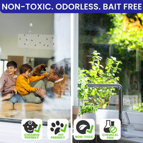 BugBane fruit and housefly trap suitable for kitchens and living areas.