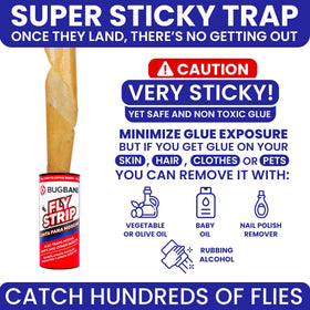 BugBane quick-setup fly strips for fast deployment