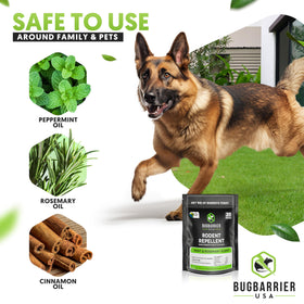 BugBarrier mint rosemary aroma dispersing in a vehicle environment.