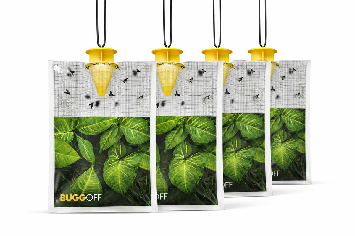 Buggoff 4-pack outdoor fly traps ready to deploy to reduce flies outdoors