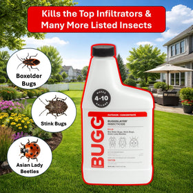 BUGGSLAYER Concentrate mixer-dilute water shows ready-to-use spray preparation.