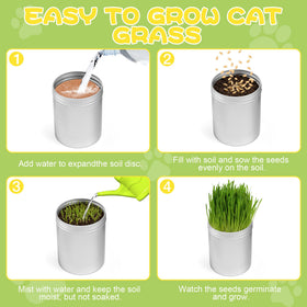 BuggyBeds beginner-friendly instructions image illustrating simple growing steps