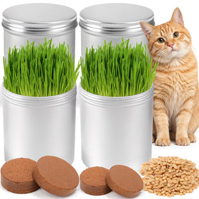 BuggyBeds cat grass kit packaging showing beginner-friendly setup