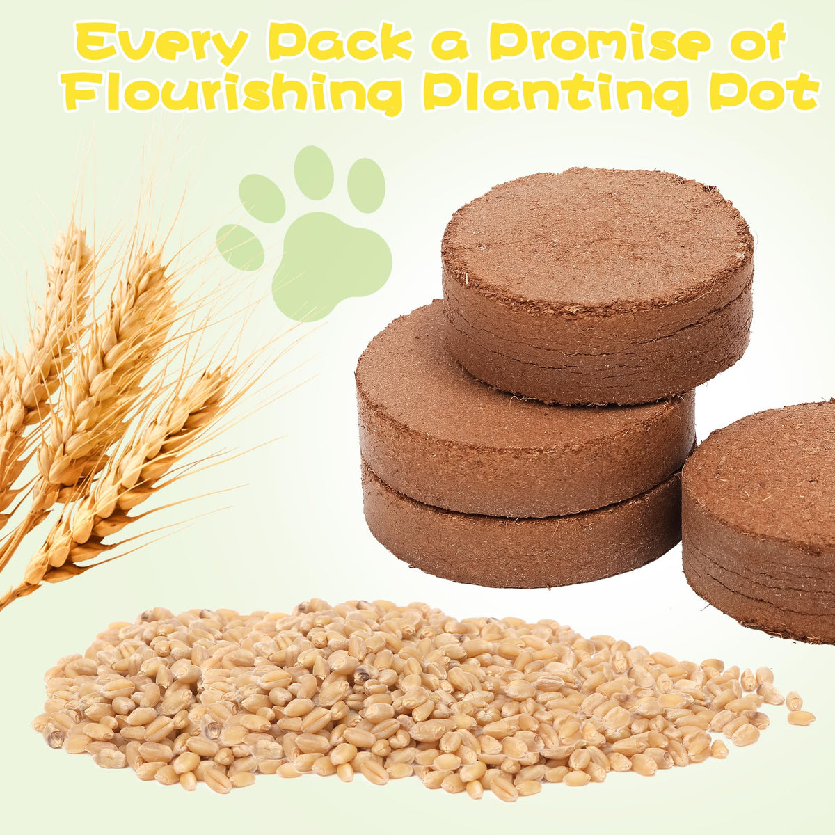 BuggyBeds soil discs support quick, even germination and healthy sprouts