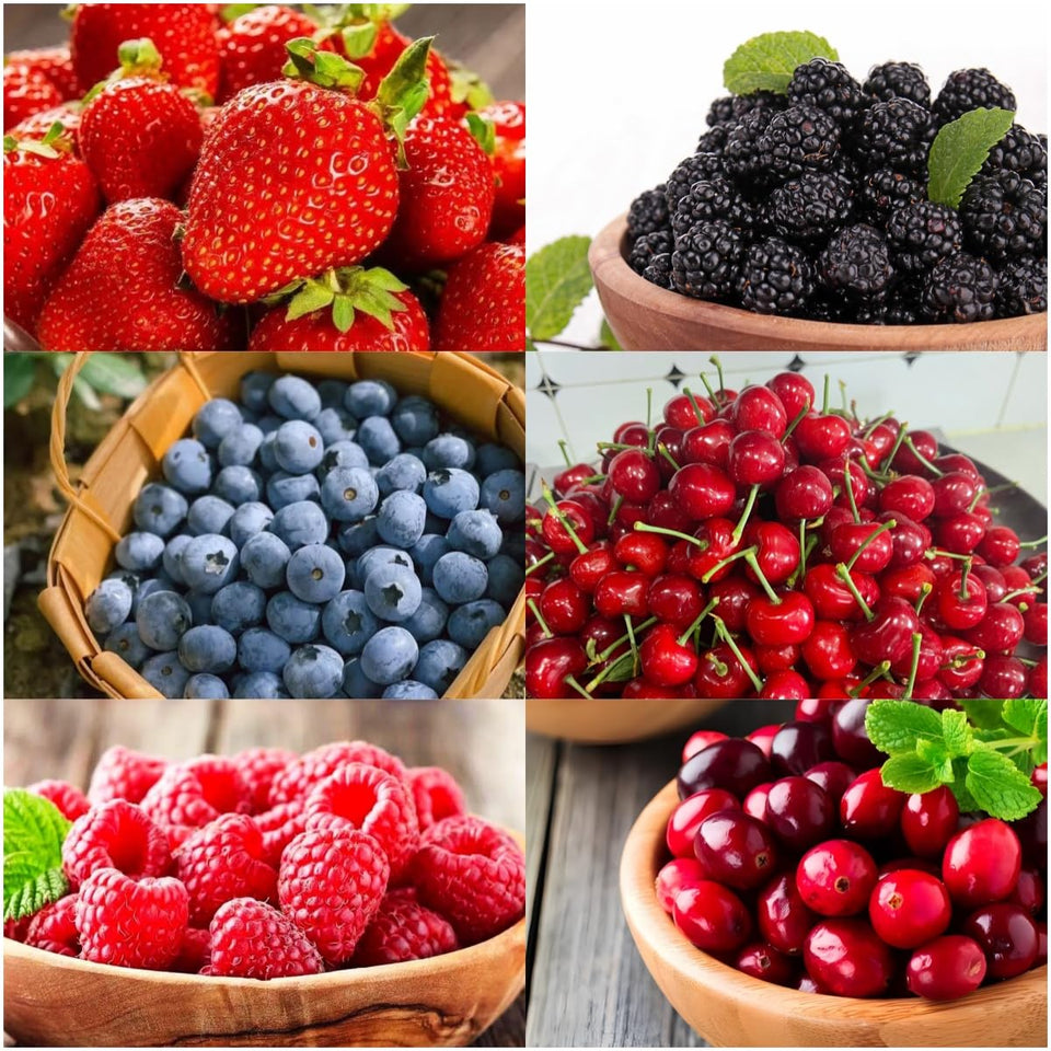 BuggyBeds variation pack of fruit seeds for diverse, year-round harvest potential in a compact garden.