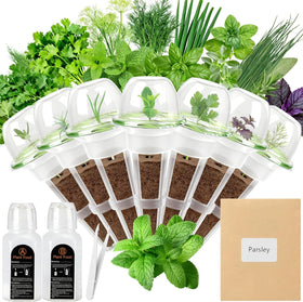 BuggyBeds Gourmet Herb Seed Pod Kit packaging enables quick, clean setup for fresh herbs.