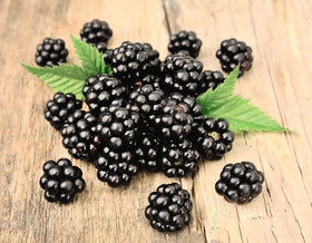 BuggyBeds harvest-ready blackberries on vines illustrate fresh fruit potential.