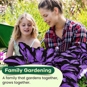 BuggyBeds hosta border plants elevate landscapes with adaptable, drought-tolerant perennials.