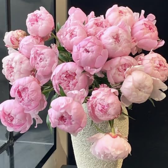 BuggyBeds Peony Lactiflora commercial-grade blooms with rich color for events.