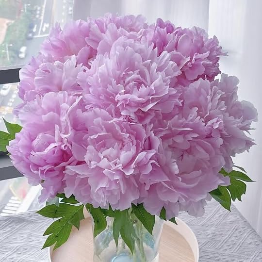 BuggyBeds Peony Lactiflora long-stem seeds showcasing sturdy stems ideal for professional bouquets.