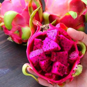 BuggyBeds pitaya plant growth showing sturdy vines for container or bed.
