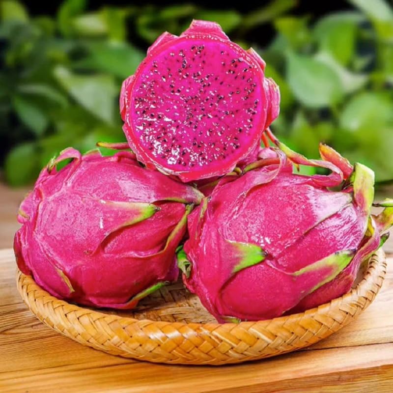 BuggyBeds red dragon fruit seeds pack ready for easy home germination.