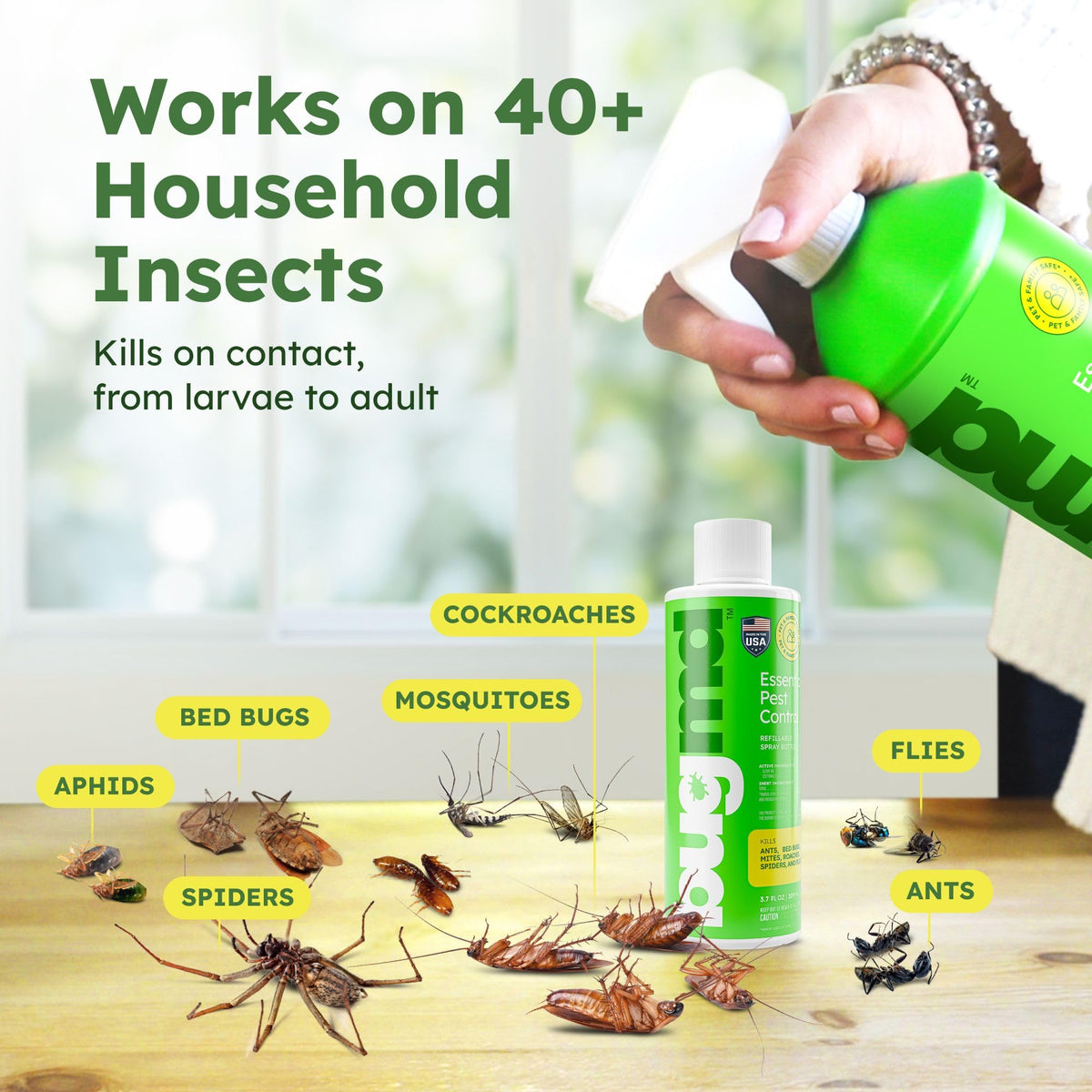 BugMD ant spray near doorway and patio for outdoor entry control