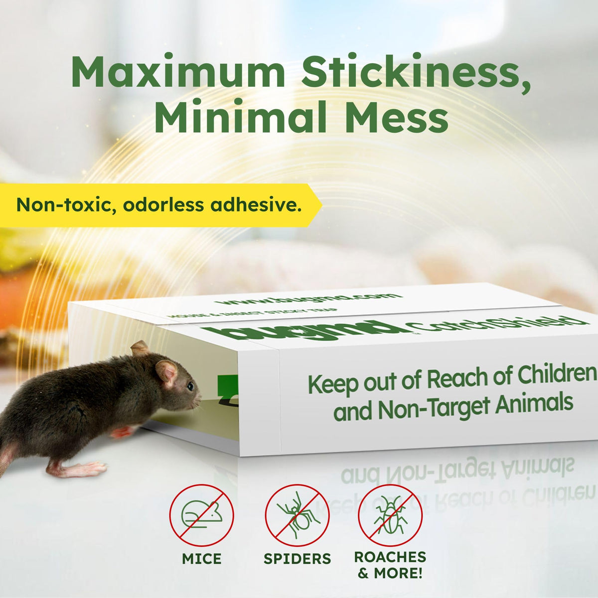 BugMD CatchShield sticky trap targeting mice for reliable control
