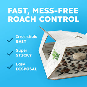 BugMD glue trap in kitchen setup for discreet pest control