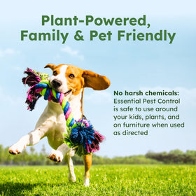 BugMD indoor-outdoor pest kill coverage around home.