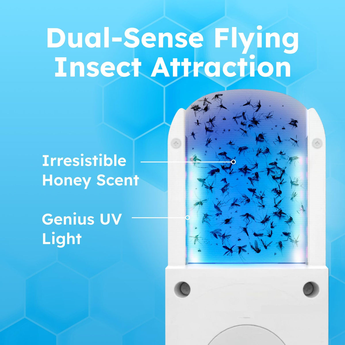 BugMD No Buzz Zone honey-scent pad lures pests for easy, no-touch disposal.