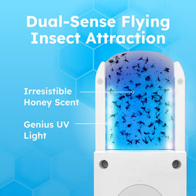 BugMD No Buzz Zone honey-scent pad lures pests for easy, no-touch disposal.