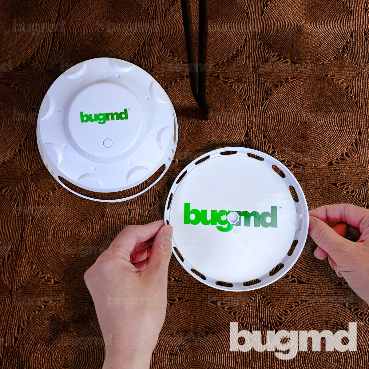 BugMD refill disc adhesive close-up showing strong glue for secure capture.