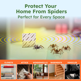 BugMD Spider Shield Pouch used in homes with kids and pets demonstrates safe defense.