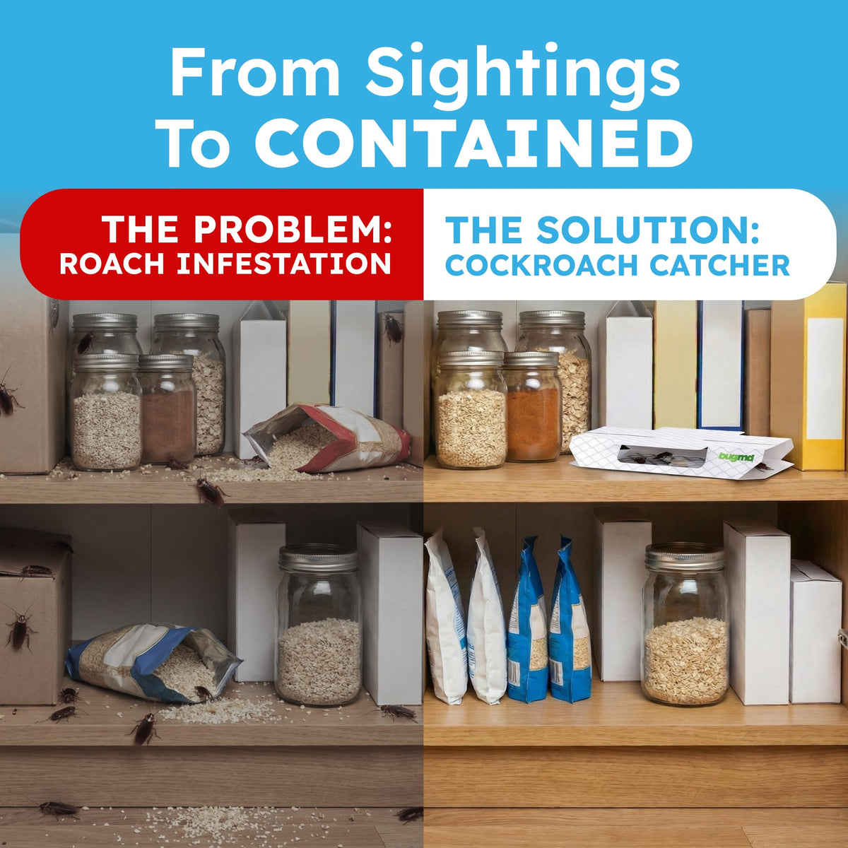 BugMD touch-free disposable roach trap for hygienic disposal