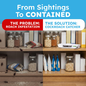 BugMD touch-free disposable roach trap for hygienic disposal