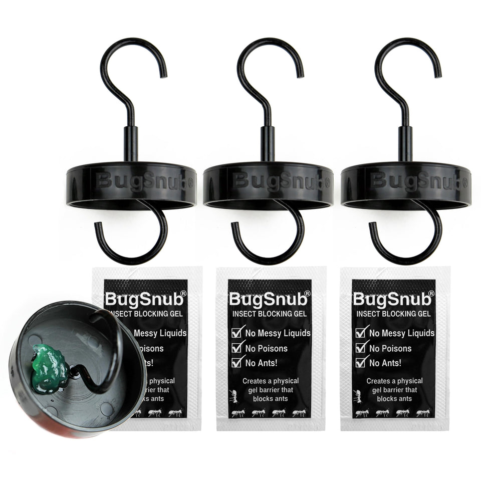 BugSnub Hanging Ant Guard 3-pack protects a hummingbird feeder from ants.