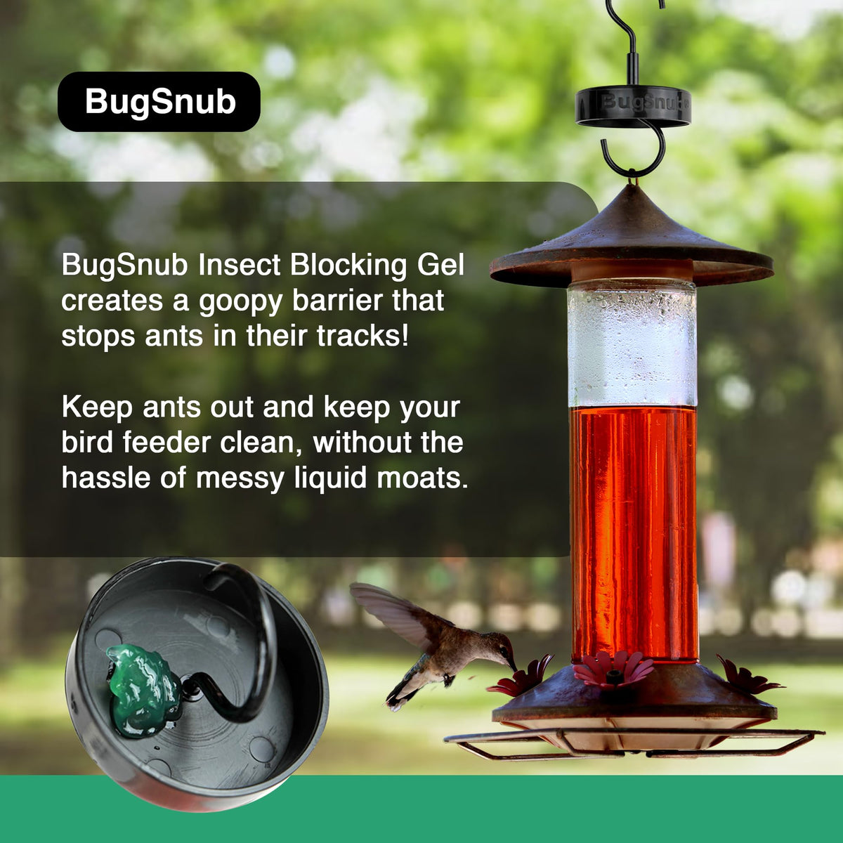 BugSnub Hanging Ant Guard 3-pack on a feeder demonstrates waterless defense in hot weather.