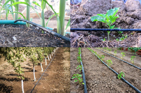 XFF-COUP 17mm barb couplings ensuring secure barbed connections