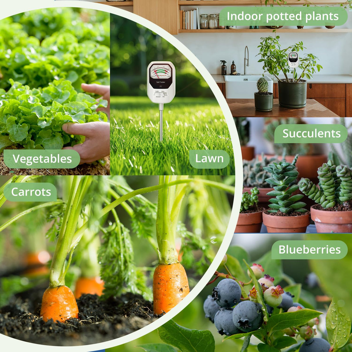 Buladeke ideal for indoor pots, lawns, farms, and greenhouses.